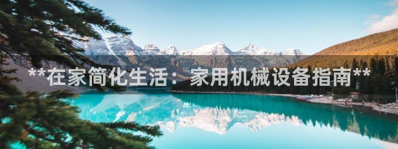 九游会是ag吗