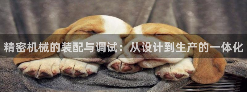 九游会手机登陆