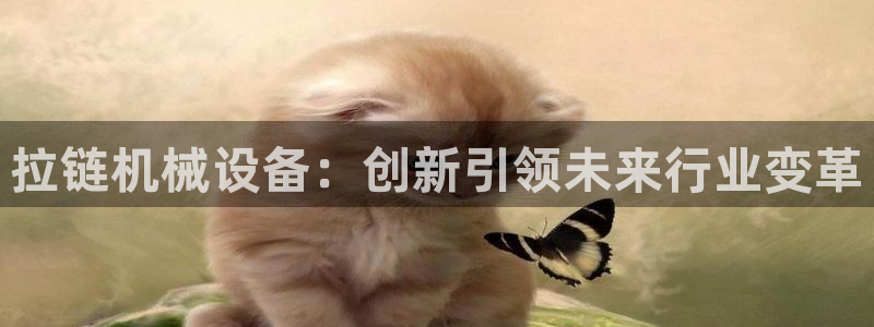 ag久游