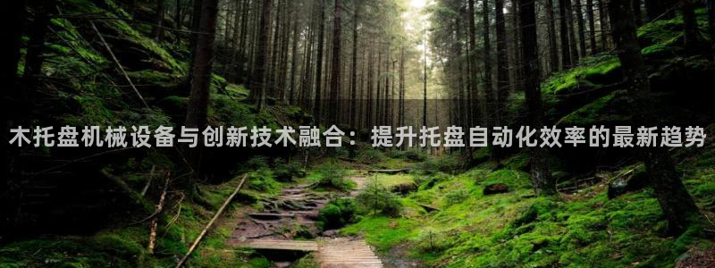 九游会ag亚洲