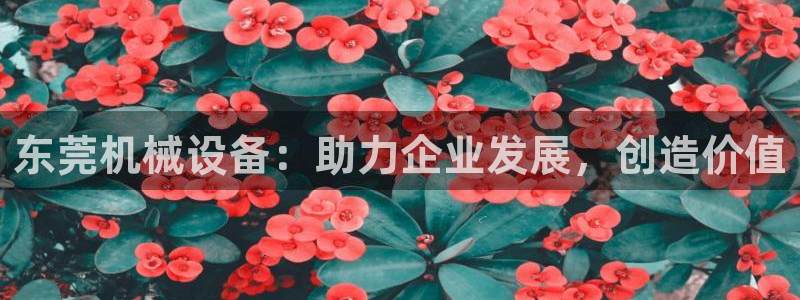 九游会官