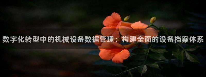 九游会官网j9