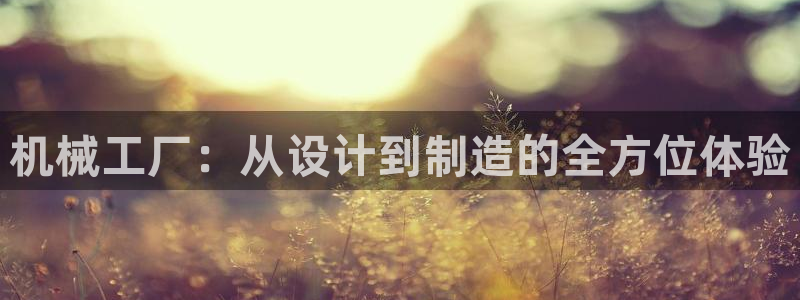 九游会在线官方网站下