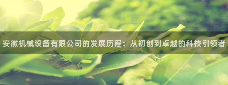九游会是干嘛的：安徽
