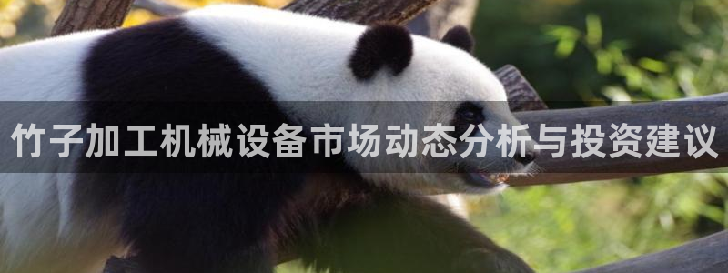九游会集团正规吗