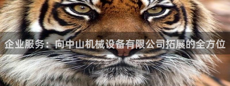 九游会老哥俱乐部
