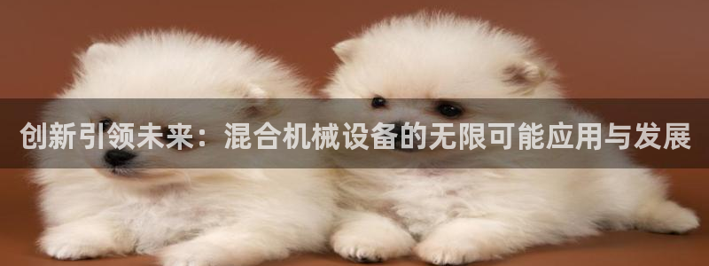 九游会老哥必备的俱乐