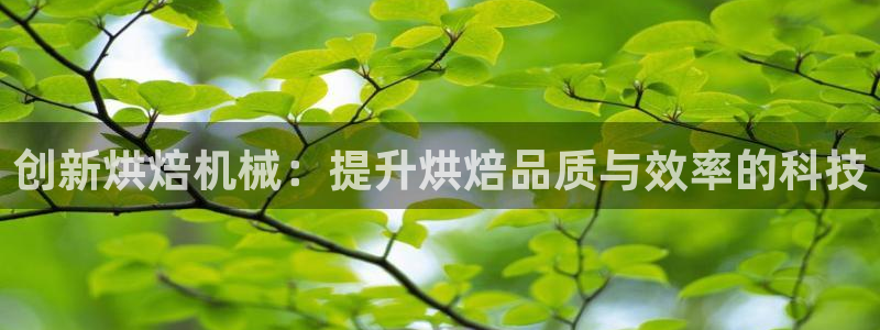 九游会的网址是多少