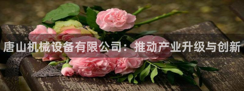 九游会官网APP平台