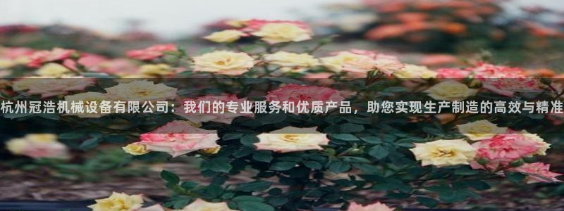 九游j9官网