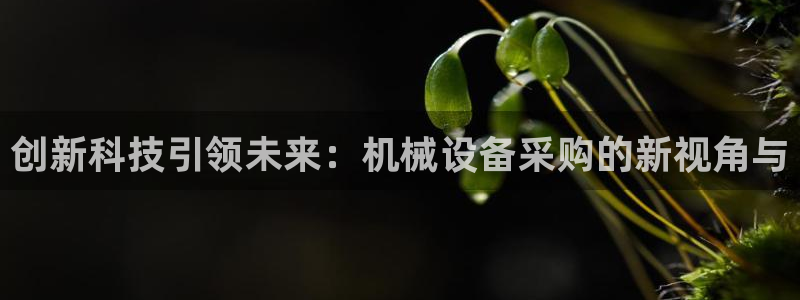 j92019九游会