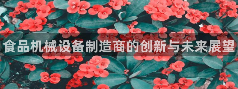 j9九游会app下载