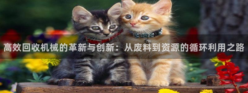 j9.cn