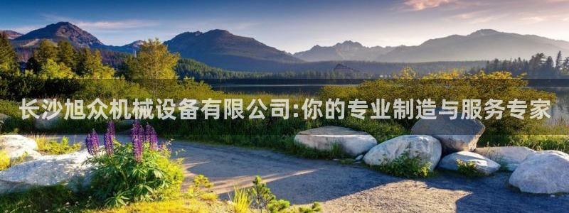 九游会usdt