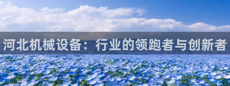 九游会ag老哥：河北