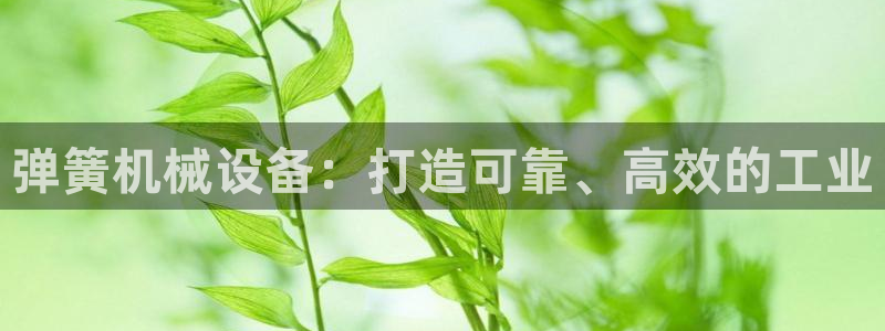 九游会app官方下载安装