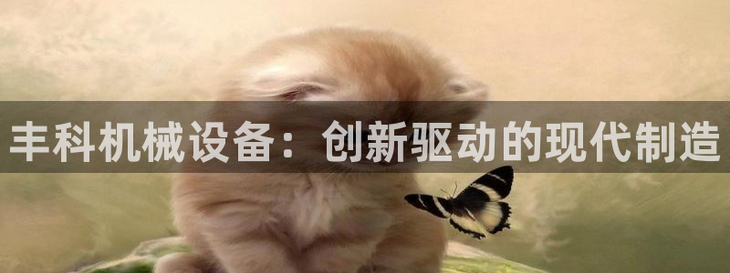 九游会ag网址大全专业版